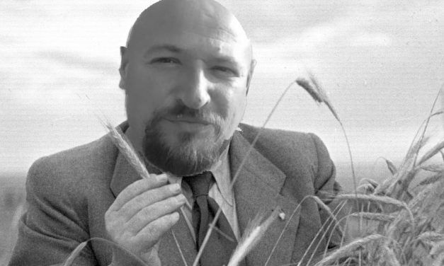 Rossz ajtón kopogtat Gender Balázs