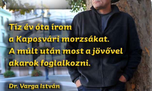 Még meg sem nyerték, már osztják Kaposvárt