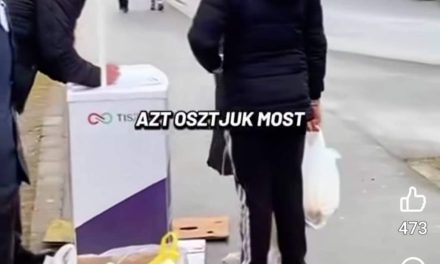 Lőrincz Viktória is osztogatott a mocsokban tartott élelmiszerekből? Krumpli, hagyma, banán, és a kimondatlan program